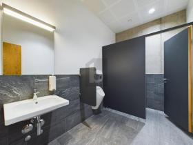 üretim Salonu Au Kiralık İsviçre