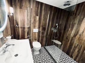 Attico Cantone di Ginevra In affitto Svizzera