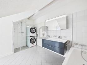 Apartamento sótão Wittenbach Venda Suíça