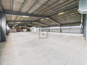 Tárolja Belp Kiadó Svájc