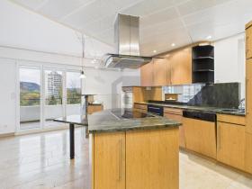 Floor Apartment Baden for rent Switzerland