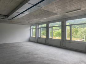 χώρος γραφείου Σάρνεν Προς Ενοικίαση Ελβετία