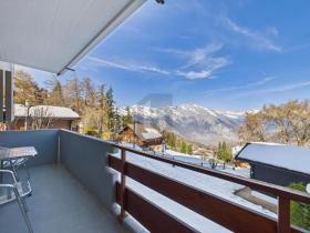 フラット リデス スイス