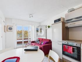 フラット リデス スイス