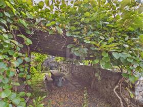 Einfamilienhaus Claro zu kaufen Schweiz