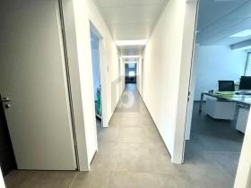 Bürofläche Camorino zu mieten Schweiz