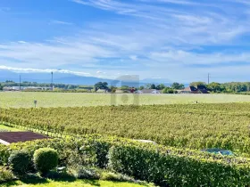 テラスハウス 販売 で エトイ, スイス