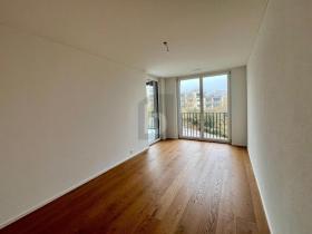 扁平 苏黎世  瑞士