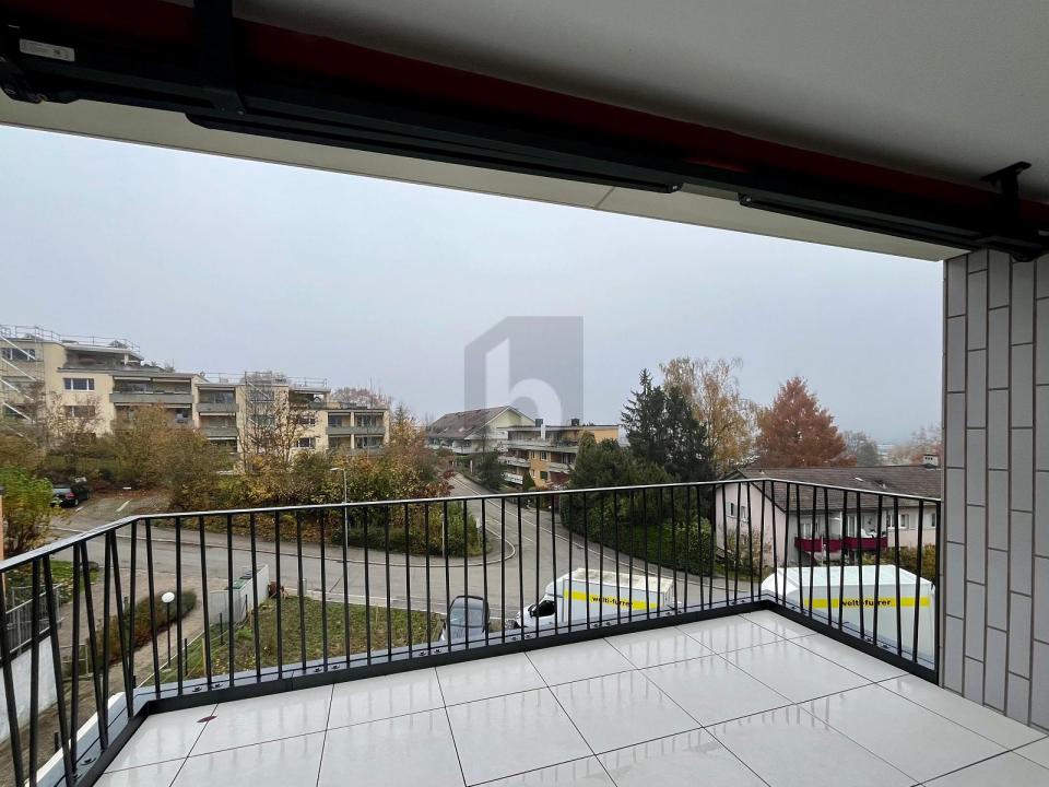 フラット チューリッヒ  スイス