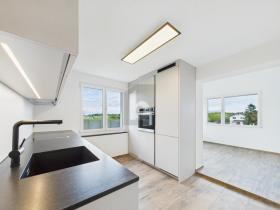 Apartamento duplex para alugar em Heilige Margrethen, Suíça