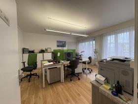 Офисное помещение Кантон Женева Аренда Швейцария