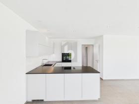 ημιμονοκατοικία Birwinken Προς Ενοικίαση Ελβετία