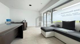 Kontorplass Zwingen  Sveits