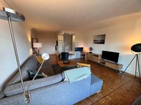 zemin apartman  Cenevre Kantonu Satılık İsviçre