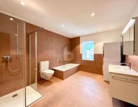 διαμέρισμα πάτωμα Φλουμς Προς Ενοικίαση Ελβετία