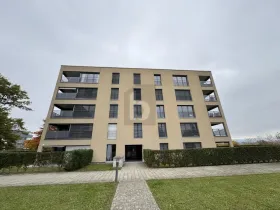 フラット 賃貸 で ヴィラール・シュル・グラヌ, スイス