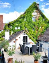 appartamento Uhwiesen In affitto Svizzera