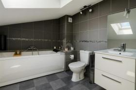 扁平 波伦特鲁伊 瑞士