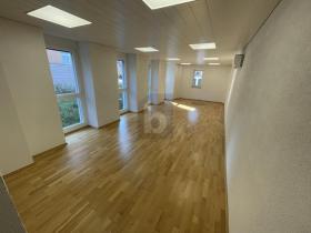 Office space for rent in Flüh, Switzerland Office space for rent in Flüh, Switzerland