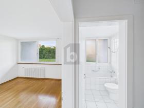 Ground floor apartment Dornach for rent Switzerland