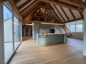 双层公寓 出租 于 布伦附近奥伯维尔-格迈因霍尔茨, 瑞士 双层公寓 出租 于 布伦附近奥伯维尔-格迈因霍尔茨, 瑞士