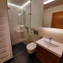 扁平 埃施 瑞士