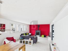 müstakil ev Cugnasco Satılık İsviçre