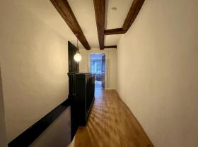 デュプレックス・フラット チューリッヒ スイス