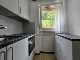 フラット ロイカーバート  スイス