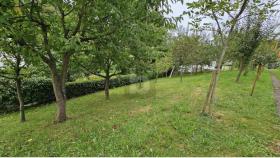 Maisons de ville d'angle Flüh Achat Suisse