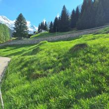 inşaat alanı Dalpe Satılık İsviçre