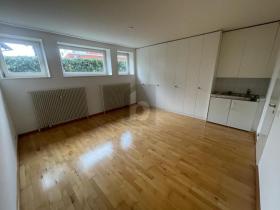 Souterrain apartment for rent in Binningen, Switzerland Souterrain apartment for rent in Binningen, Switzerland