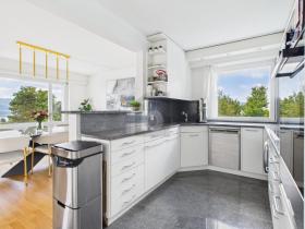 フラット ゾリコン スイス