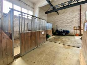 大厅 特伦  瑞士