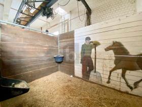 大厅 特伦  瑞士