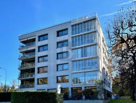 Etagenwohnung zu vermieten in Canton de Geneve, Schweiz Etagenwohnung zu vermieten in Canton de Geneve, Schweiz