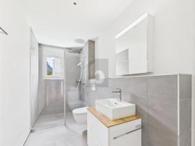 扁平 苏斯坦  瑞士