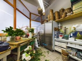 Tienda Linse En Renta Suiza