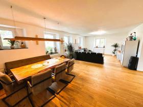 两户住宅 施瓦德洛赫  瑞士