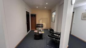 オフィススペース レ・アカシア 賃貸 スイス