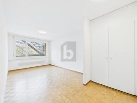 Etagenwohnung Canton de Geneve zu mieten Schweiz