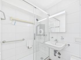 扁平 斯普赖滕巴赫  瑞士