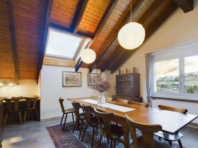 扁平 苏斯坦  瑞士