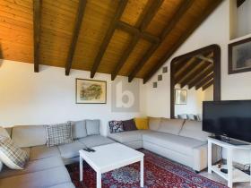 扁平 苏斯坦  瑞士