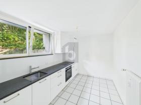 Begane grond flat Dornach te huur Zwitserland