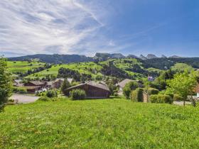 οικοδομικό έδαφος Wildhaus Προς πώληση Ελβετία