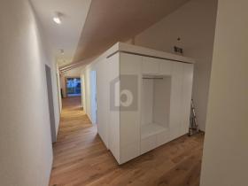 阁楼 韦尔登贝格  瑞士