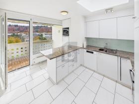 阁楼 伯尔尼  瑞士