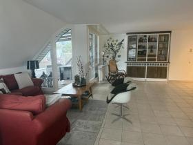 teras daire Horgen Satılık İsviçre