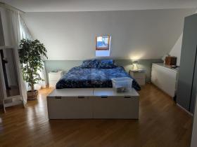 teras daire Horgen Satılık İsviçre